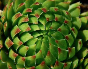 糸リフトと脂肪溶解注射の組み合わせで得られる美肌効果は？